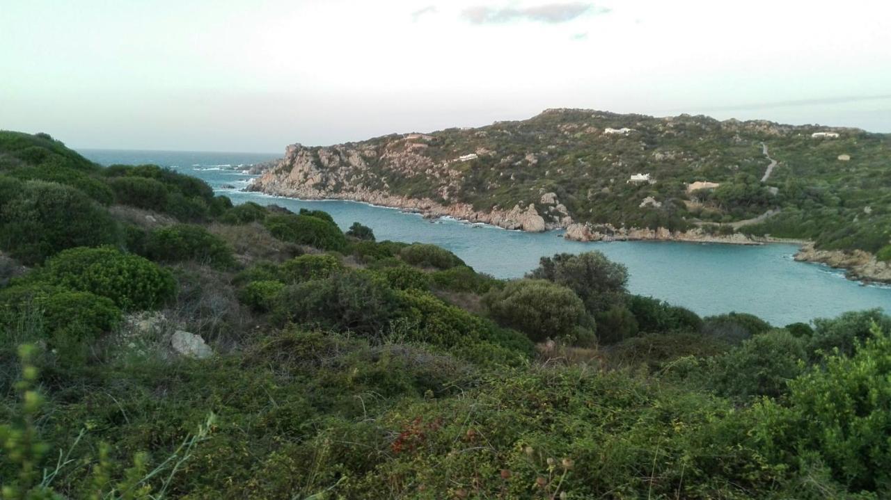 Appartamento In Paese A Santa Teresa Di Gallura Экстерьер фото